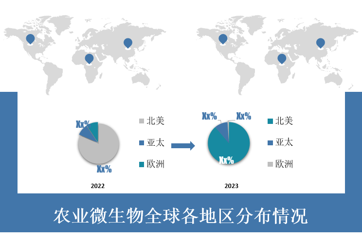 全球各地区市场份额